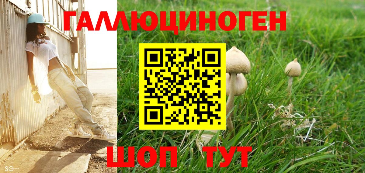 Жигулёвск  Псилоцибиновые грибы мицелий  Вход с VPN 