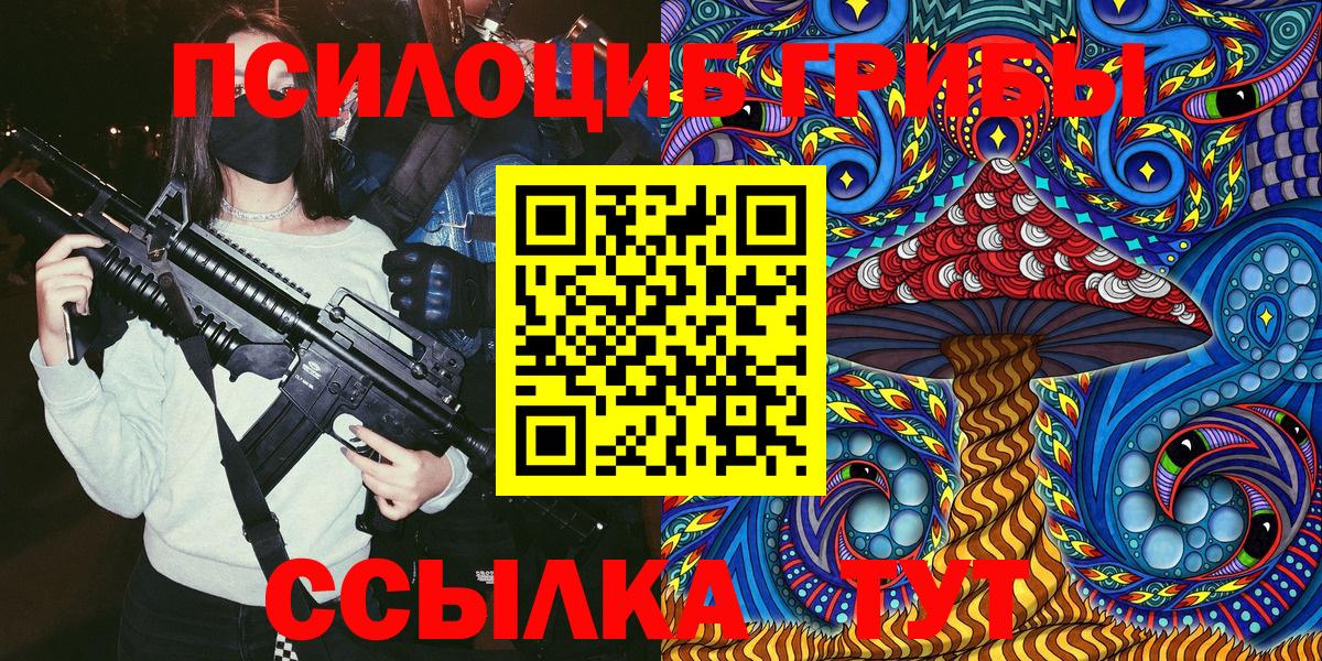 Псилоцибиновые грибы мицелий Жигулёвск